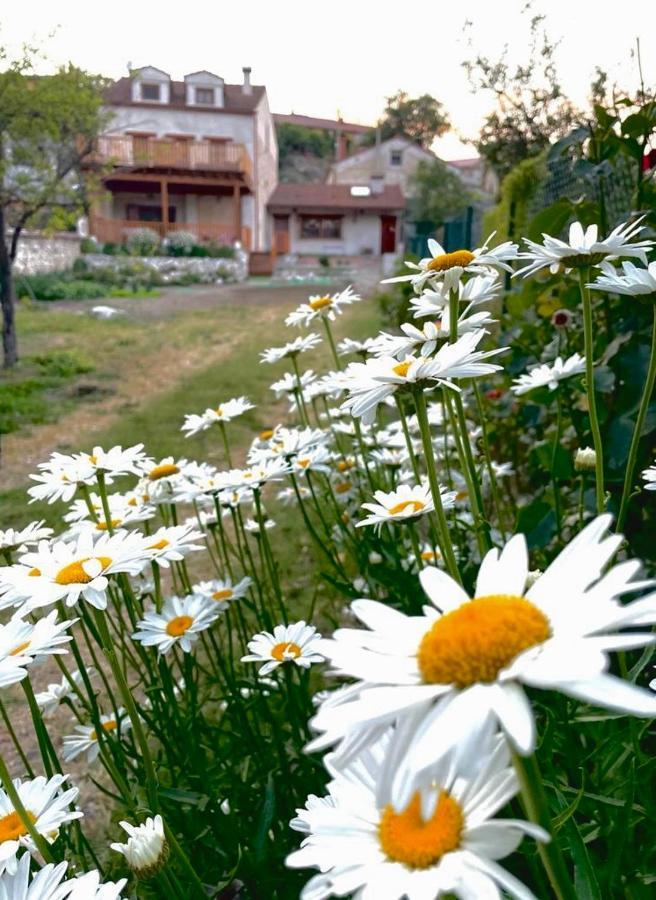 Alojamiento Gaia Aldeasona Ngoại thất bức ảnh