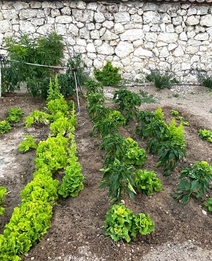Alojamiento Gaia Aldeasona Ngoại thất bức ảnh